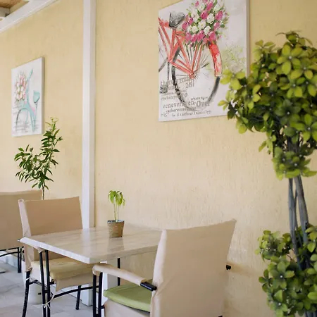 卡尔洛沃酒店 酒店 阳光海滩