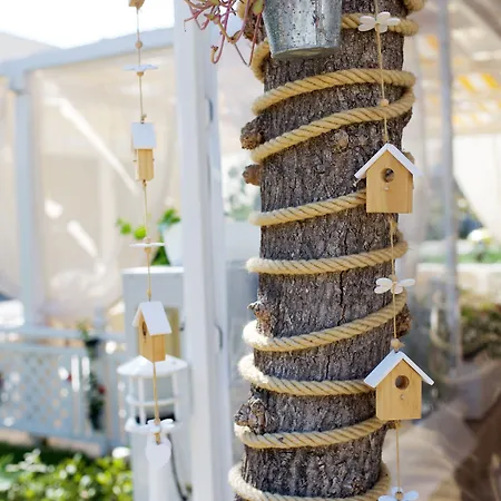 卡尔洛沃酒店 酒店 3*