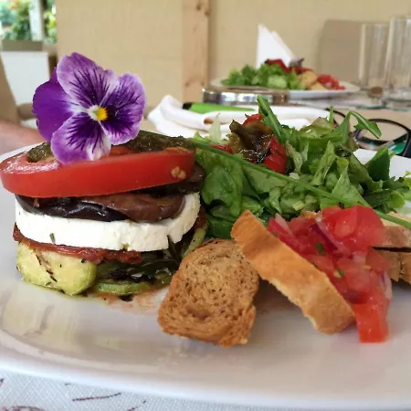 酒店 卡尔洛沃酒店 阳光海滩